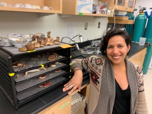 Adriana L. Romero-Olivares in a lab room with samples and equipment around here. Photo provided by Adriana L. Romero-Olivares
