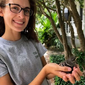 Annelise Blanchette holding a fledgling Northern Mockingbird. Photo provided by Annelise Blanchette