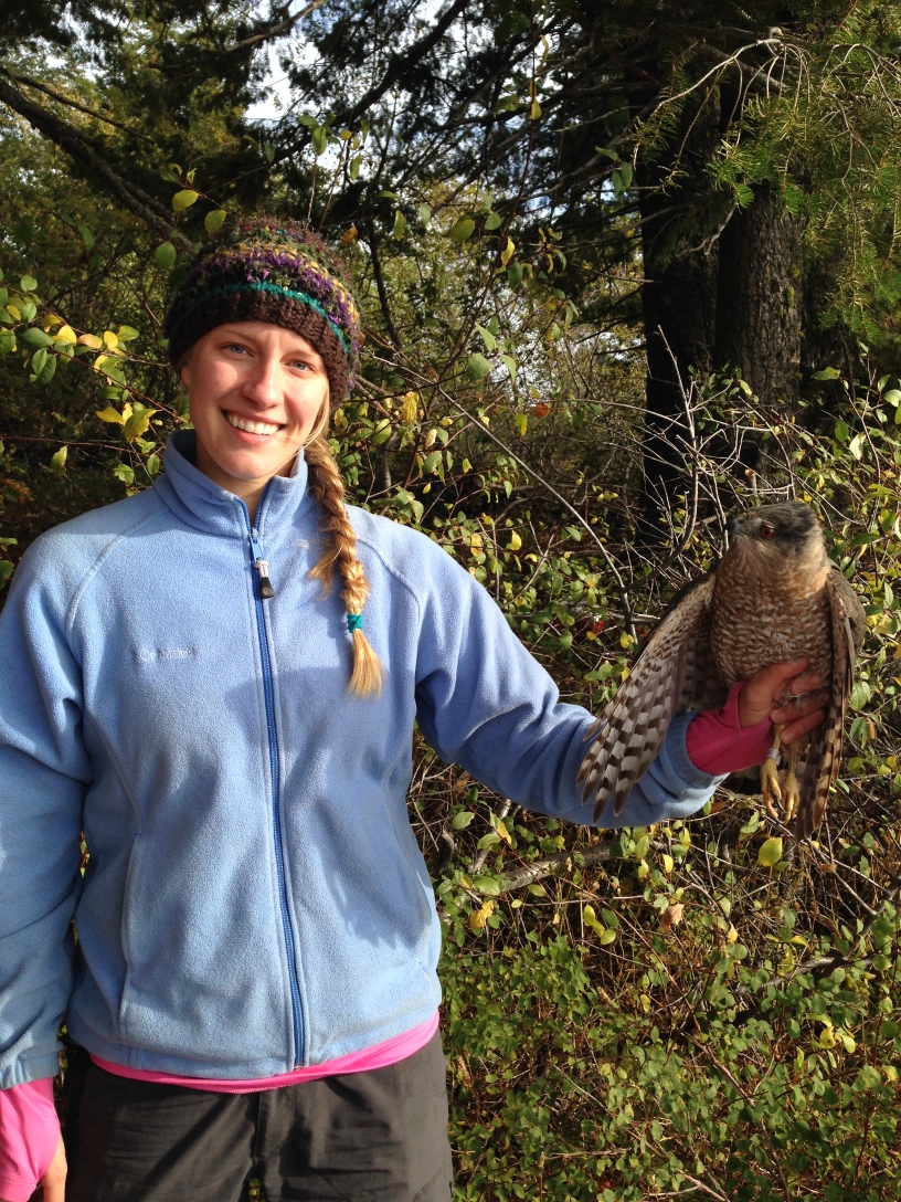 Alexandra Anderson holding a Cooper's Hawk. Photo provided by Alexandra Anderson